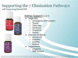 Image Result For Kidney Cleansing With Essential Oil