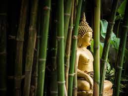 He made them sit in front of him and delivered a day after the second sermon a young man named yasa and fifty four of his companions joined the order and received initiation from the buddha. How The Buddha Gained Enlightenment Parenting News The Indian Express