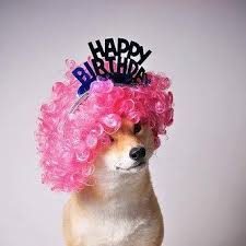 Fun Things To Do On Your Dog S Birthday Mica The Shiba Inu Happy Birthday Dog Birthday Meme Birthday Ideas For Her
