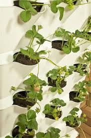 Jardin Vertical Leroy Merlin Buscar Con Google