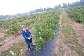 2015 New England Vegetable & Fruit Conference and Trade Show December 15,  16, and 17, 2015