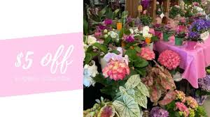 Maybe you would like to learn more about one of these? 5 Off Any Floral Purchase At Kroger Southern Savers