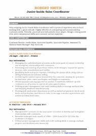 Then, below the template, we will go through each part of the job description piece by piece. Inside Sales Coordinator Resume Samples Qwikresume