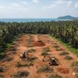 Land Clearing Services Devgad product image