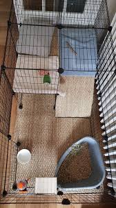 Enclos Lapin En 2020 Lapin Enclo Lapin Lapin Interieur