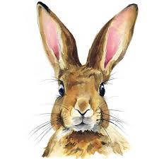 Pin By Beth S Sandbox On Art For Me Rabbit Painting Bunny Watercolor Rabbit Art