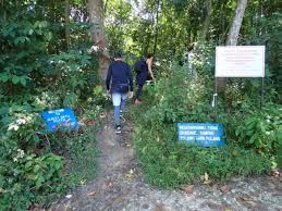 Kulai municipal council administer the town. Bukit Batu Putih Gopeng Hike Pokok Kelapa