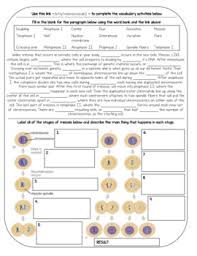 Two major phases of meiosis. Biology Vocabulary Practice Meiosis By Get Wise With Weissert Tpt