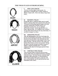 Stages Of Sisterlocks In 2019 Natural Hair Styles