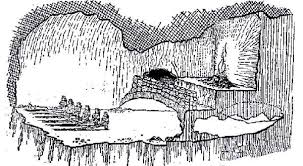 IDCARDS,GOATS,AND A DONKEY: