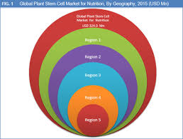 Is a subsidiary of cryocord holdings sdn. Plant Stem Cell Market For Nutrition Size Share And Forecasts To 2022