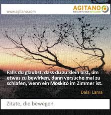 Https Www Agitano Com Zitate Sprueche 2016 06 20t13 25 12 00 00 Https Www Agitano Com Zitate Sprueche Dalai Lama Falls Du Glaubst Dass Du Zu Klein 2016 03 10t14 32 56 00 00 Https Www Agitano Com Wp Content Uploads 2016 03