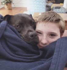 Picture Your Pet photo contest