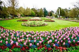 This location is quite central so ideal for day trips. Jephson Gardens Leamington Spa Coventry City Dolores Park Spa