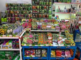 Orar, staţii apropiate, legături cu alte linii. Fitofarmacia Obor Home Facebook