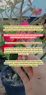 Dear Orang Tua Di 2020 Kutipan Persahabatan Terbaik Kutipan Kutipan Sahabat