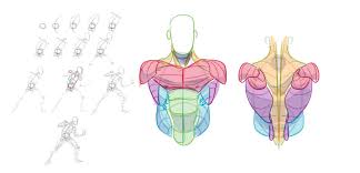We did not find results for: Female Torso Anatomy Drawing Novocom Top