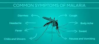 Malaria is caused by plasmodium parasites. Know The Signs Of Malaria And Save Yourself From Night Time Assassins