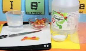 So saddle up, it's time to ride into. Science Themed Birthday Party Birthday Party Pbs Kids For Parents