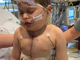 Fundraiser by Friends of little Waylon Fennell : Medical Expenses for  little Waylon's new Heart