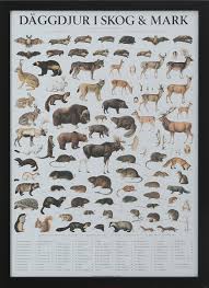 Check spelling or type a new query. Djurplanscher 3 St Moderna Konst Ovrigt Auctionet