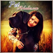 Pet Arkadas Petarkadas Com Kopek Kedi Kus Balik Kemirgen Ve Surungen Yani Tum Evcil Hayvanlarin Pet Sitesi Pet Arkadas Pets Animals Labrador Retriever