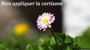 Check spelling or type a new query. Comment Bien Appliquer Les Dermocorticoides Lilie Va Bien