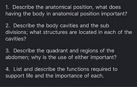 The anatomical position for quadrupeds is standing with all four feet on the ground; 1 Describe The Anatomical Position What Does Having Chegg Com