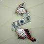 Profile Picture of Jewel Box Stories — Erewhon Books (@erewhonbooks.com) on Google