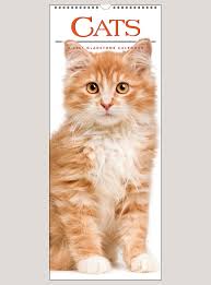 Pin On 2021 Calendars