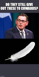 He likes to keep things brief. Politics Dan Andrews Memes Gifs Imgflip