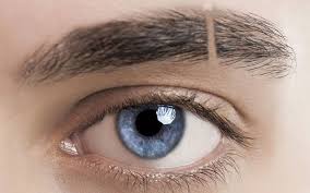 * it just looks good, all my. Eyebrow Slit Trend Meaning Style Ideas 2021 Guide