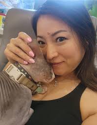 Scared gray cat with green eyes needs help