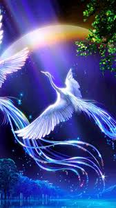 0 images for gt blue phoenix bird hd desktop wallpaper ph¶nix. Wallpaper Android Phoenix Bird 2021 Android Wallpapers