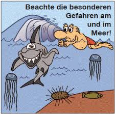 Übersichtliche blutdrucktabelle zum ausfüllen und ausdrucken. Wasserwacht Feldafing