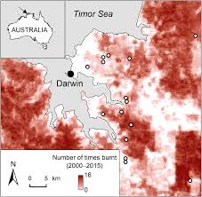 Check spelling or type a new query. Bark Functional Ecology And Its Influence On The Distribution Of Australian Half Butt Eucalypts Lawes Austral Ecology Wiley Online Library