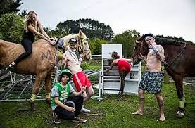 The Deadly Ponies Gang (2013)