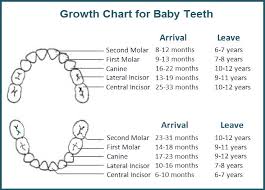 Baby Teeth Do Matter Your Smile Dental Care