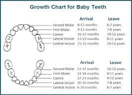 baby teeth do matter your smile dental care