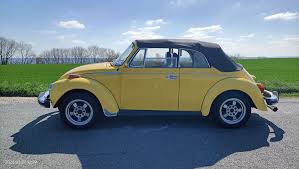 Image result for Rallye Yellow 1975 Volkswagen