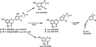 Image result for Erythrina livingstoniana