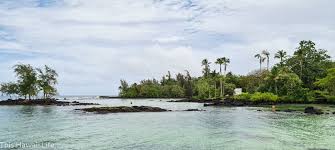 274 #1 of 74 things to do in hilo. Carlsmith Beach Park This Hawaii Life