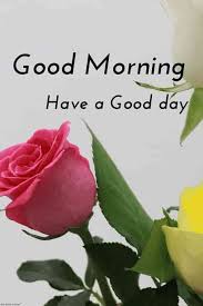 Good morning is an image sharing where you are going to find all kinds of good morning, good afternoon & good night wishes images of high quality. Download Best Good Morning Roses Pictures Images Good Morning