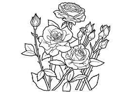 Printable Rose Coloring Pages For Everyone Free Coloring Sheets Rose Coloring Pages Garden Coloring Pages Spring Coloring Pages