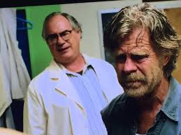 What series is this player in?