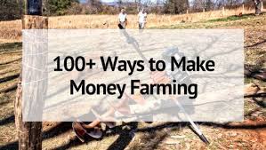 Gf¢ reader joni of jsf photography shared how her hobby went from a hobby to making money: 100 Ways To Make Money Farming That Are Perfect For 2021