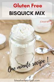 Drop spoonfuls of dough onto your stew or chicken/beef and dumplings. One Minute Gluten Free Bisquick Mix