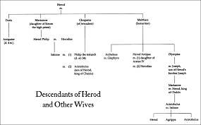 Genealogy Chart Herod Antipas