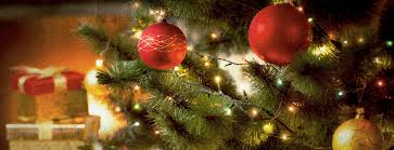 Cemara Si Pohon Natal Yang Mendunia Tanihub Insight Kreasi pohon natal unik gak harus dibuat dengan biaya yang mahal. tanihub insight