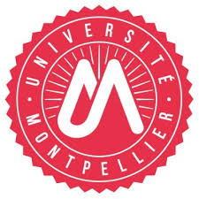 Les archives de la ville de montpellier ont fait appel à bernard muzas, un artisan potier, pour réaliser des magnets en terre cuite vernissée, selon les techniques traditionnelles . Universite De Montpellier Umontpellier Twitter